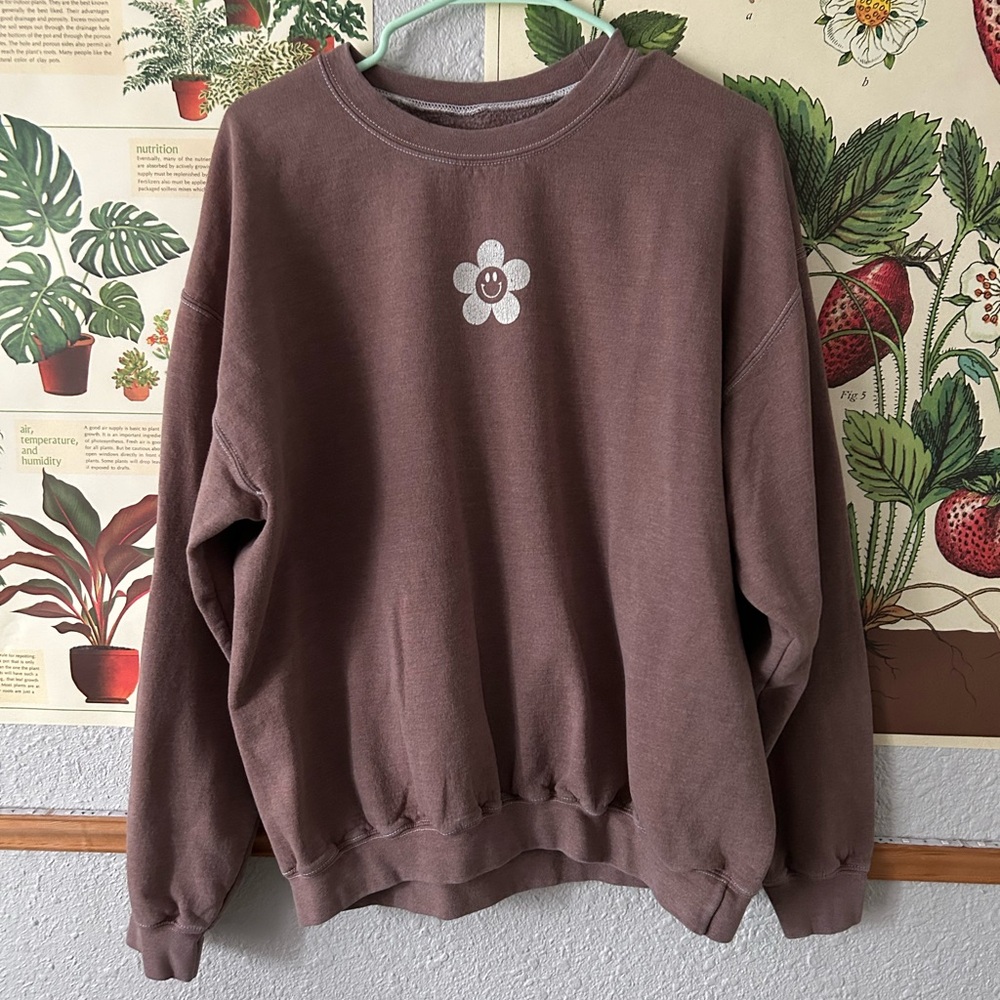 Pacsun Brown Sweatshirt with Smiley Flower
